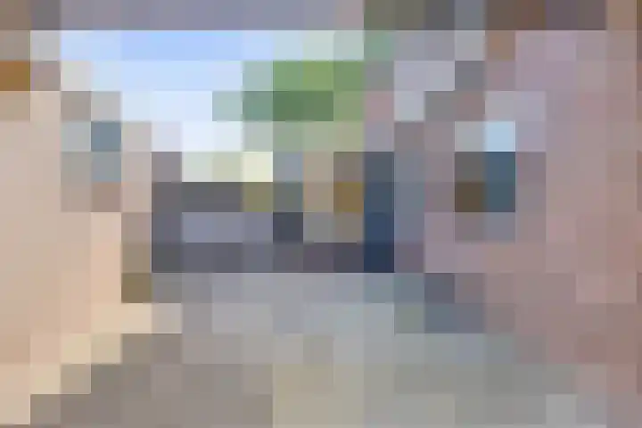 Bato'sweg 31 Oosterbeek thumbnail 35