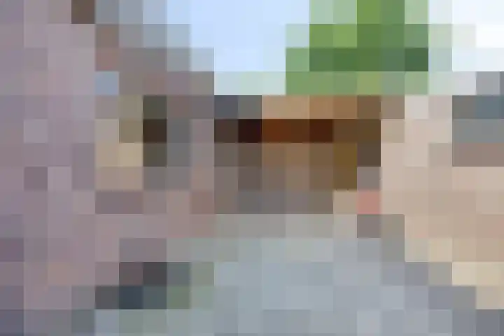 Bato'sweg 31 Oosterbeek thumbnail 36