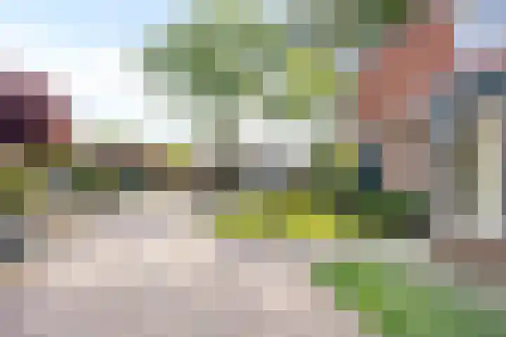 Bato'sweg 31 Oosterbeek thumbnail 5