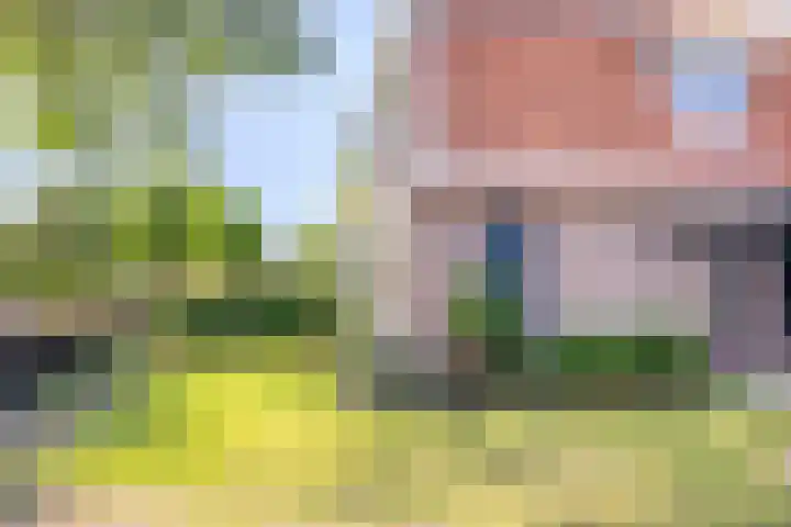 Bato'sweg 31 Oosterbeek thumbnail 6