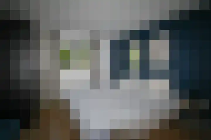 Bato'sweg 8 11 Putten thumbnail 10