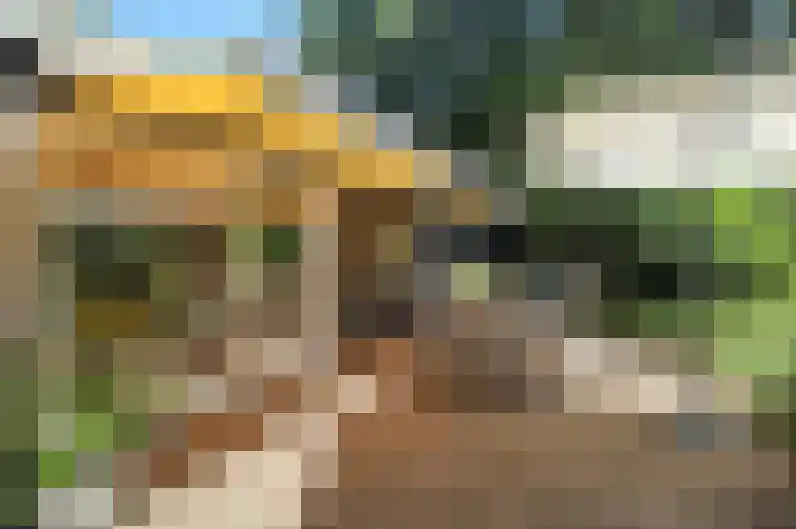 Bato'sweg 8 11 Putten thumbnail 31