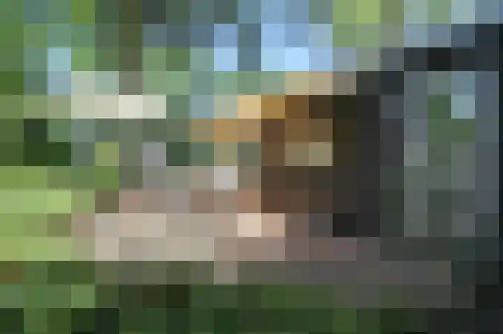 Bato'sweg 8 11 Putten thumbnail 32