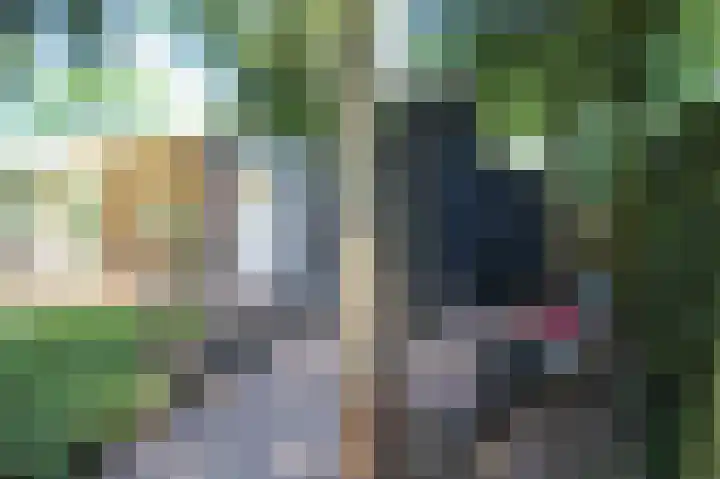 Bato'sweg 8 11 Putten thumbnail 33
