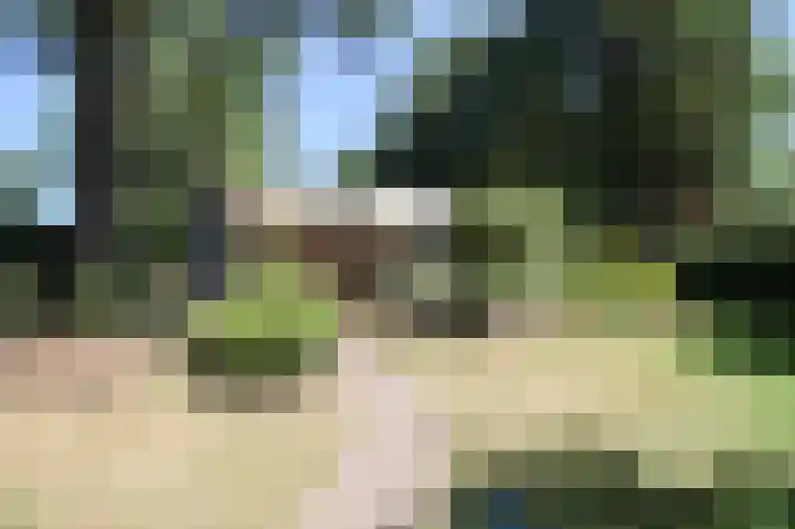 Bato'sweg 8 11 Putten thumbnail 34