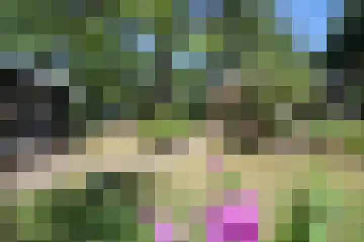 Bato'sweg 8 11 Putten thumbnail 35