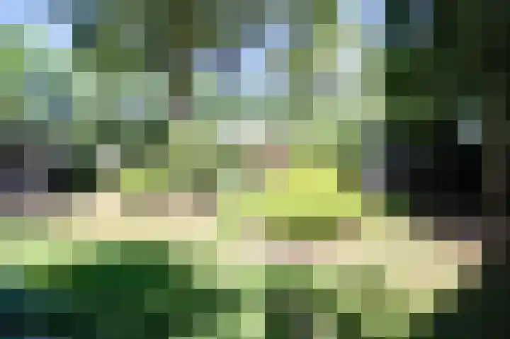 Bato'sweg 8 11 Putten thumbnail 36