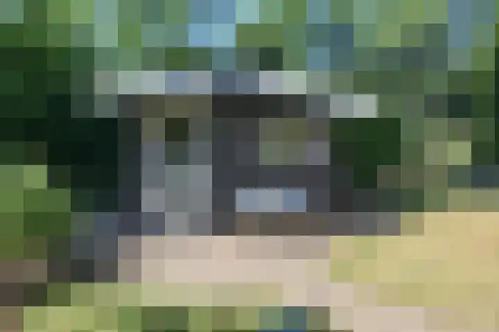 Bato'sweg 8 11 Putten thumbnail 37