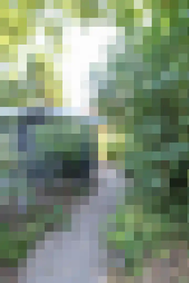 Bato'sweg 8 11 Putten thumbnail 39