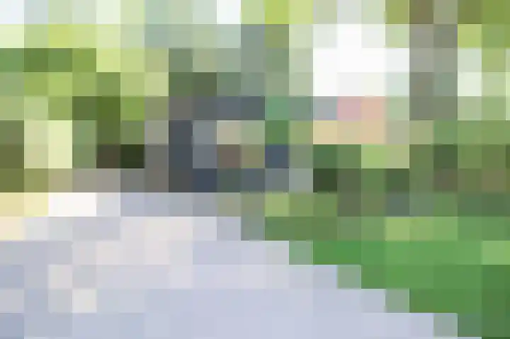 Bato'sweg 8 11 Putten thumbnail 41