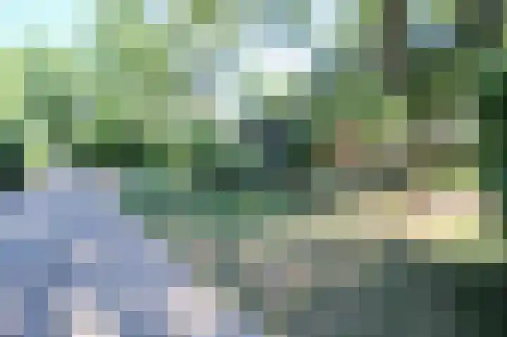 Bato'sweg 8 11 Putten thumbnail 42