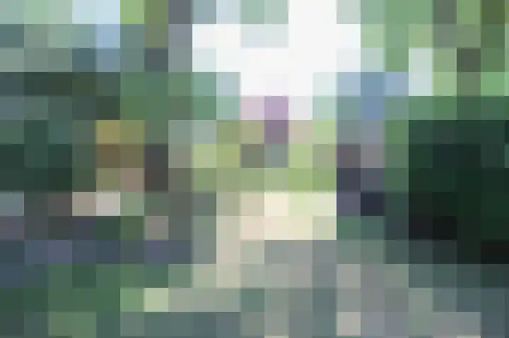 Bato'sweg 8 11 Putten thumbnail 43