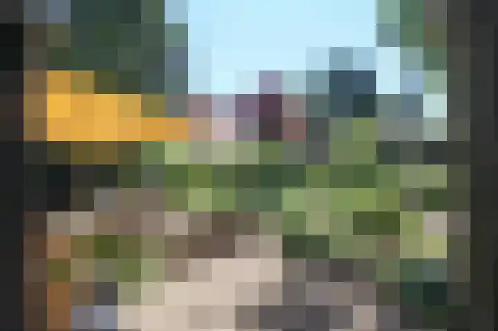 Bato'sweg 8 11 Putten thumbnail 45