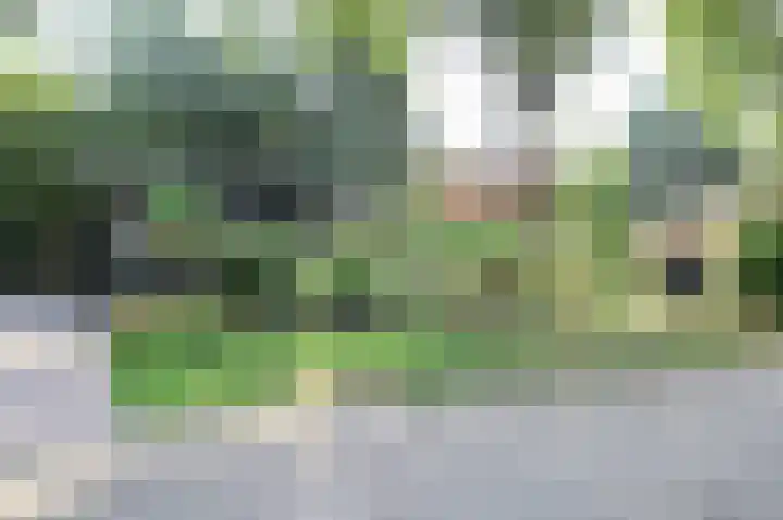 Bato'sweg 8 11 Putten thumbnail 46