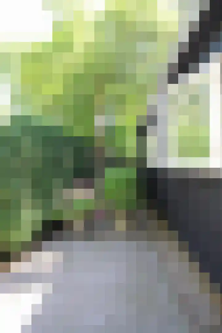 Bato'sweg 8 11 Putten thumbnail 47