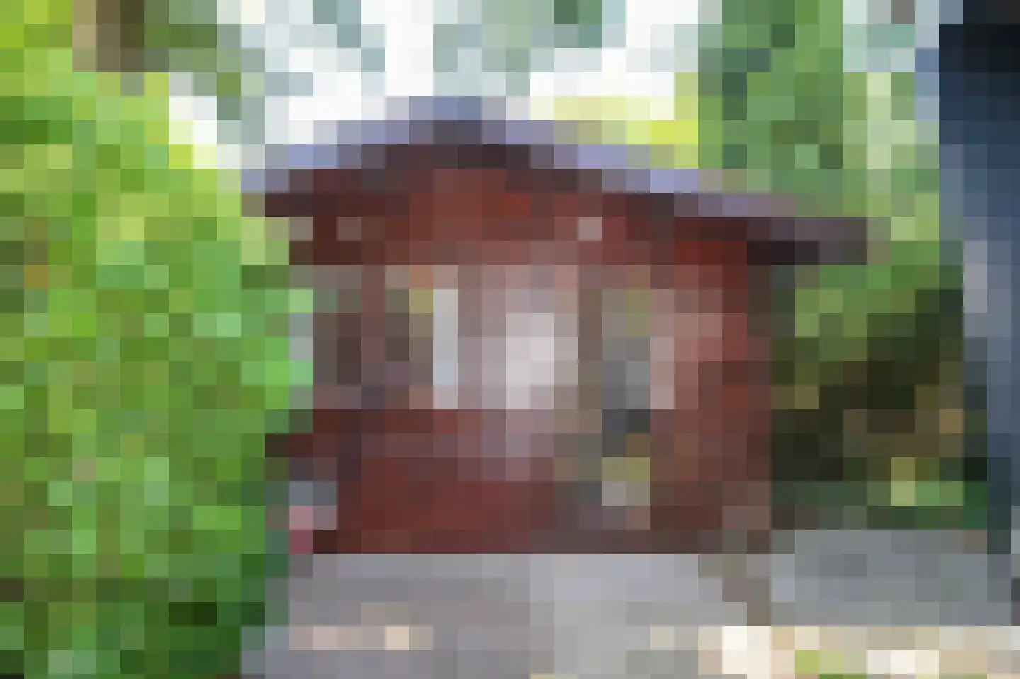 Bato'sweg 8 21 Putten thumbnail 34