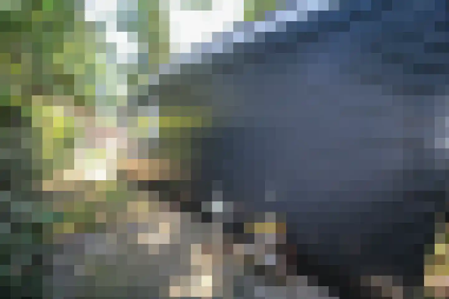 Bato'sweg 8 21 Putten thumbnail 36
