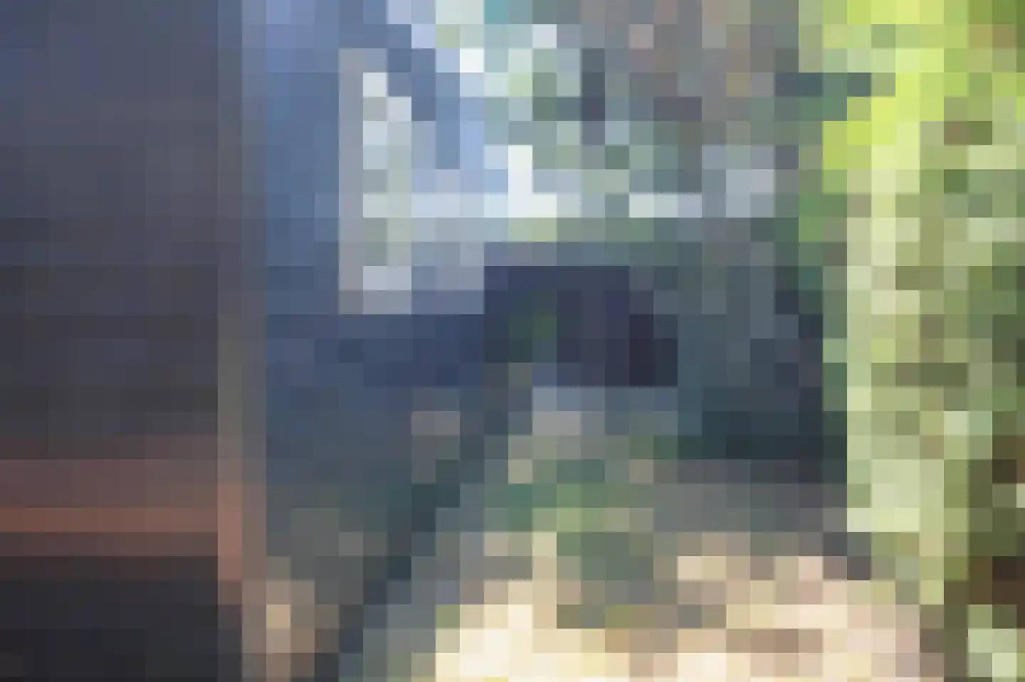 Bato'sweg 8 21 Putten thumbnail 39