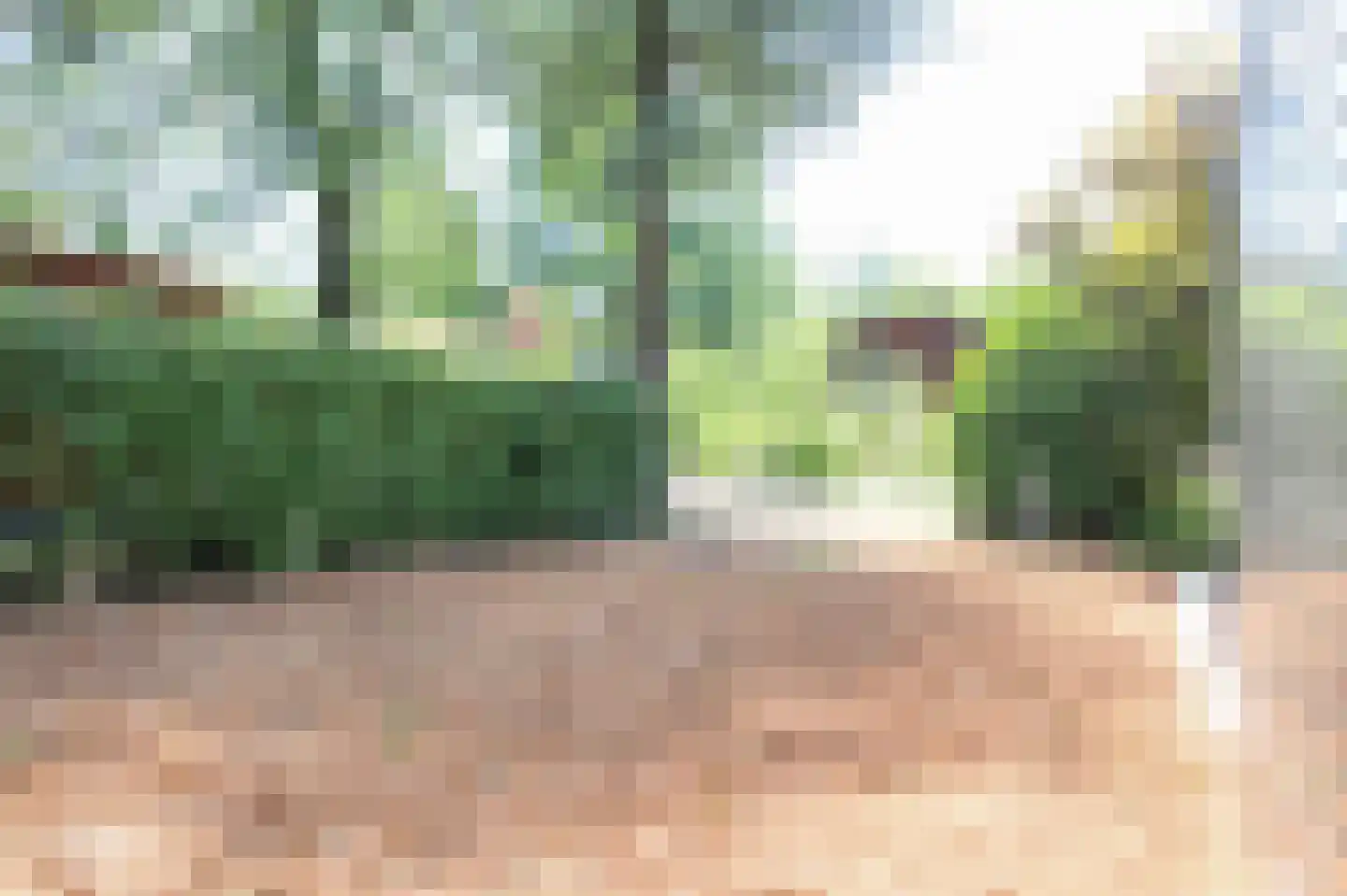 Bato'sweg 8 21 Putten thumbnail 40