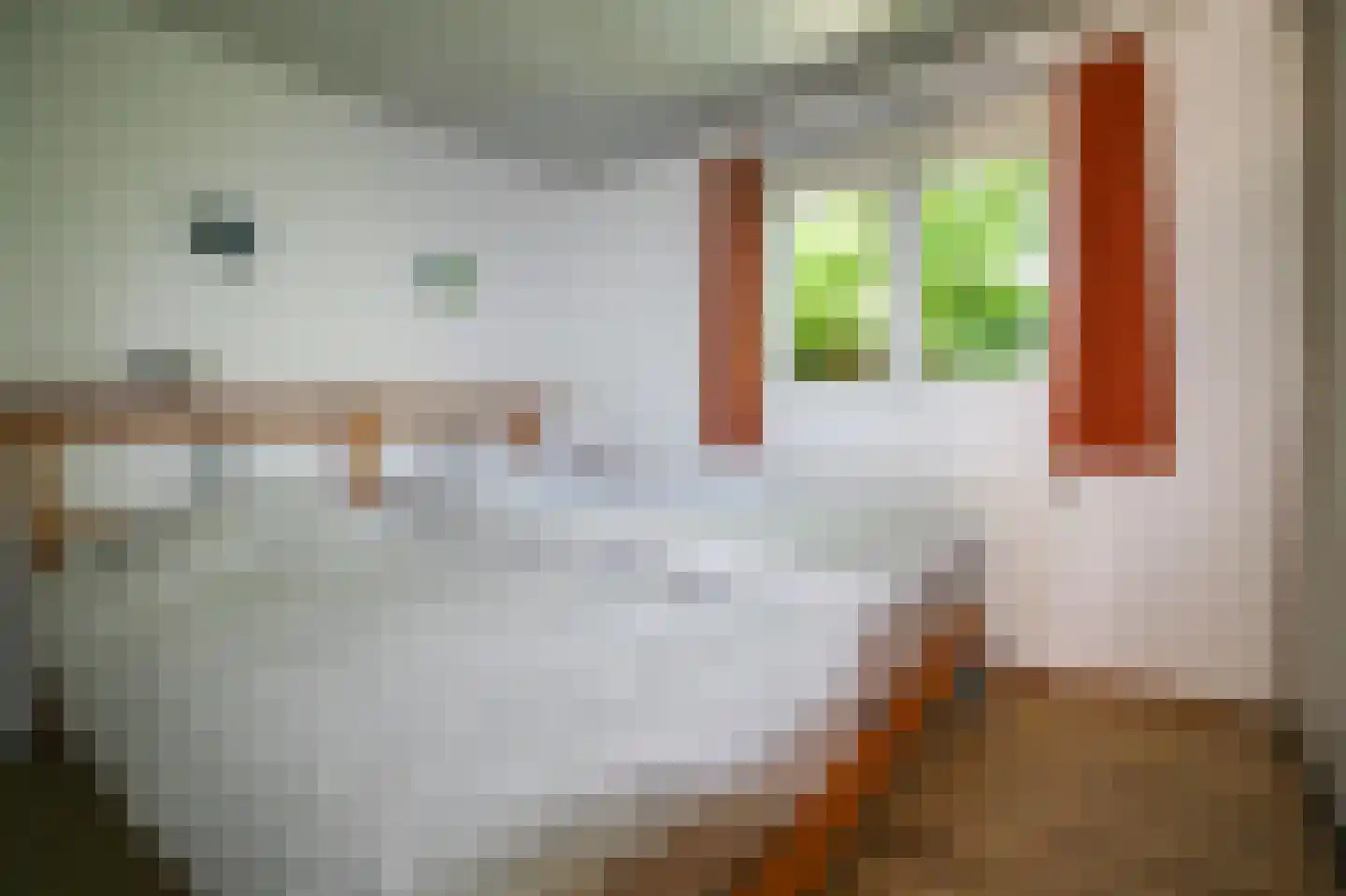 Bato'sweg 8 37 Putten thumbnail 14