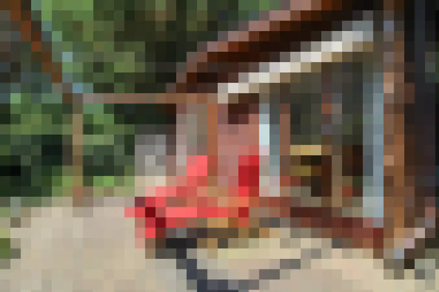 Bato'sweg 8 37 Putten thumbnail 26