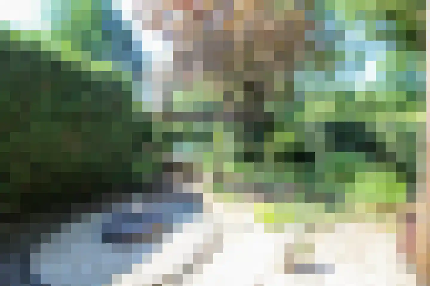 Bato'sweg 8 37 Putten thumbnail 35
