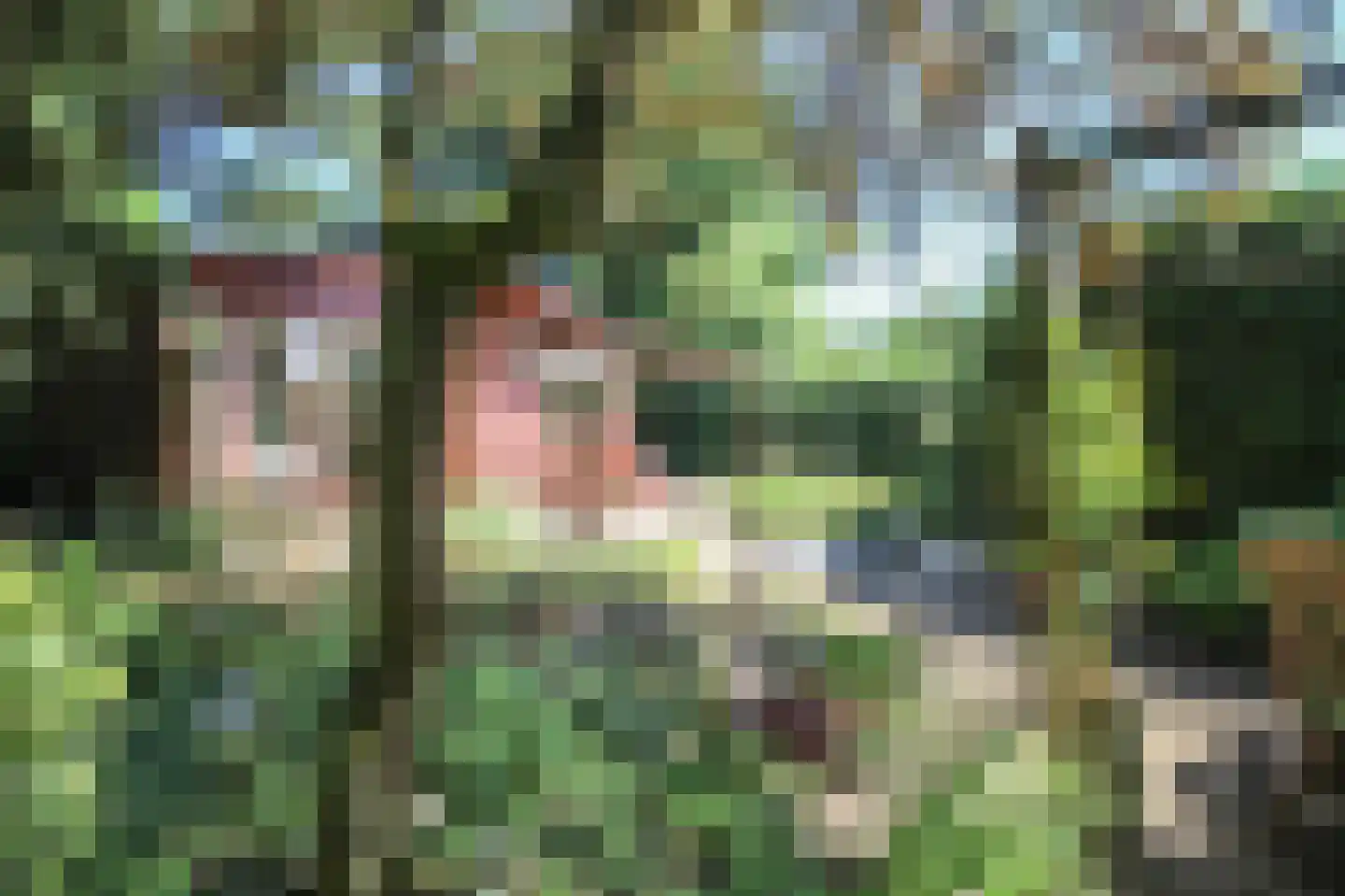 Bato'sweg 8 37 Putten thumbnail 36