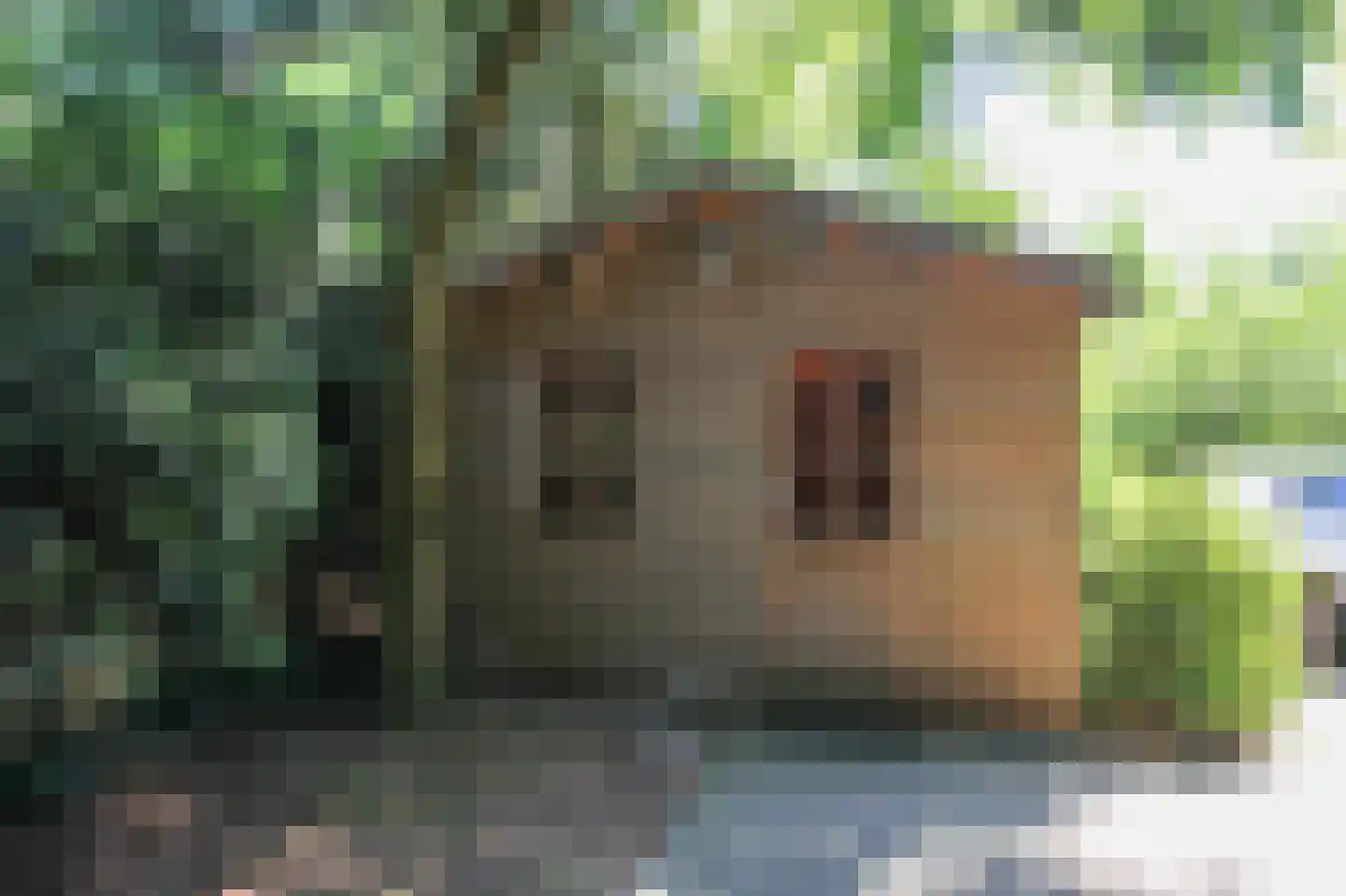 Bato'sweg 8 37 Putten thumbnail 39