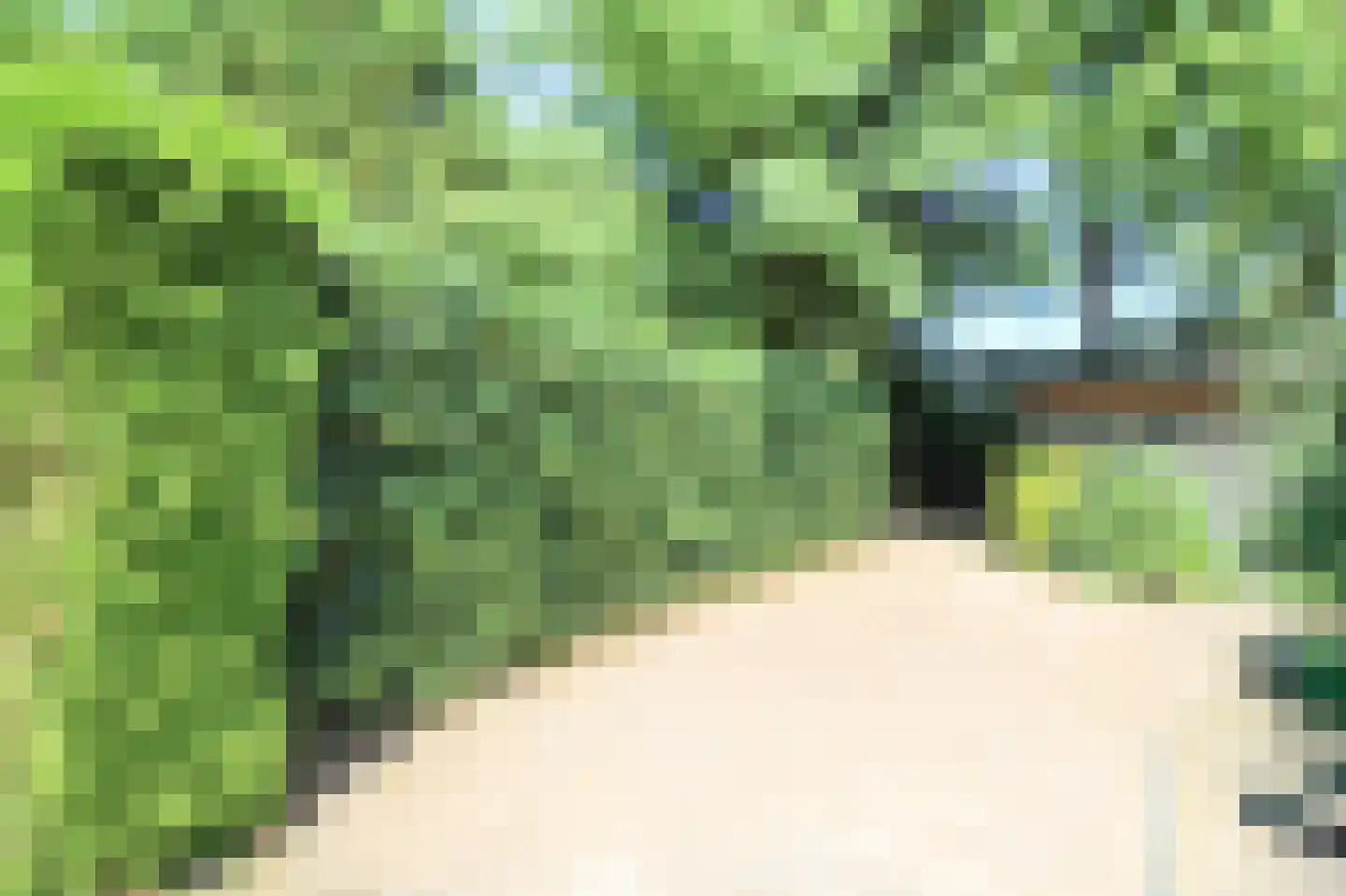 Bato'sweg 8 37 Putten thumbnail 41