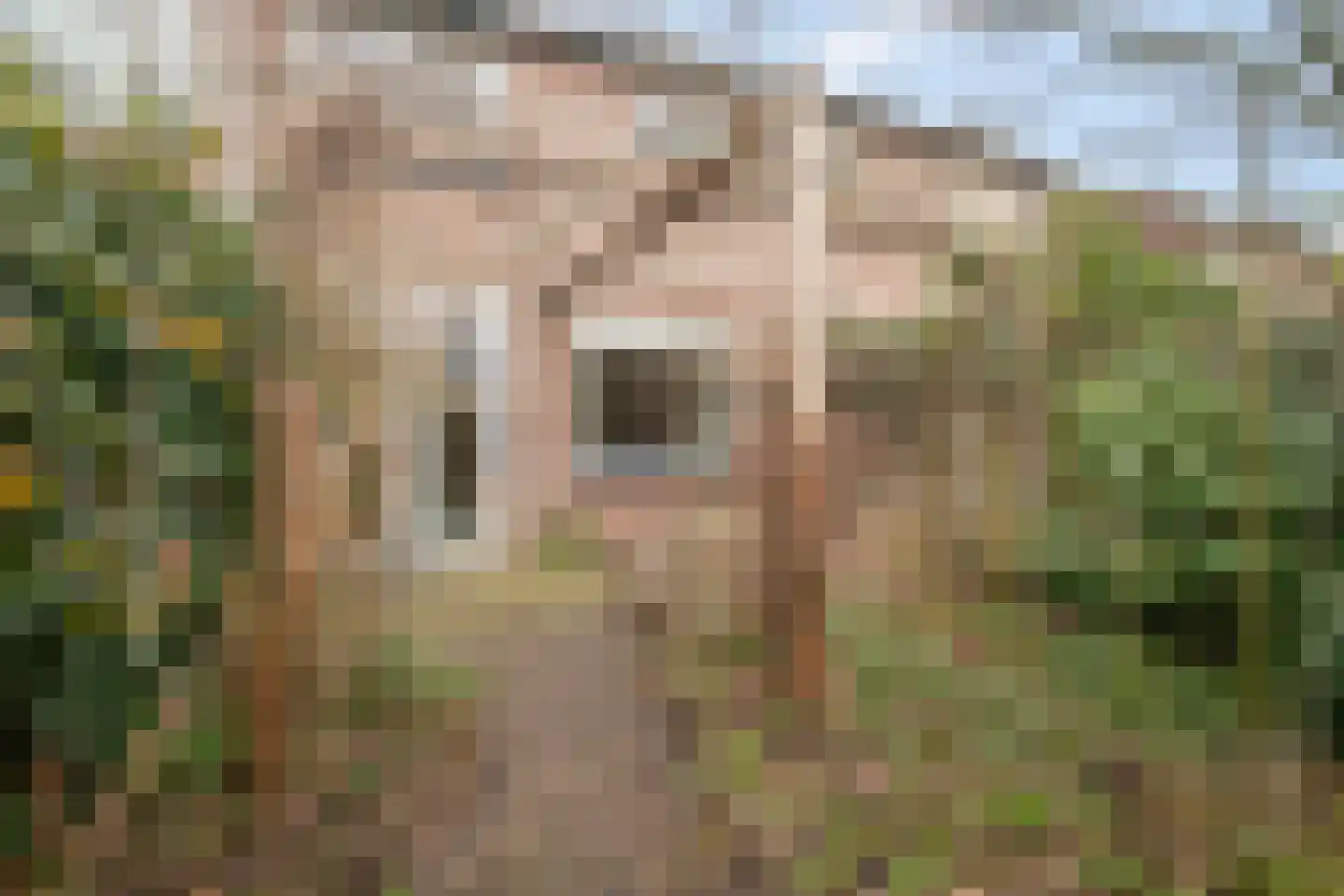 Batostraat 26 Amersfoort thumbnail 25