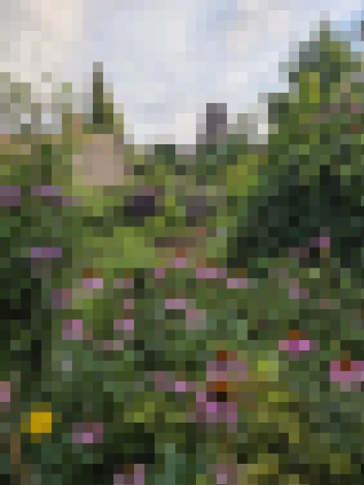 Batostraat 26 Amersfoort thumbnail 31