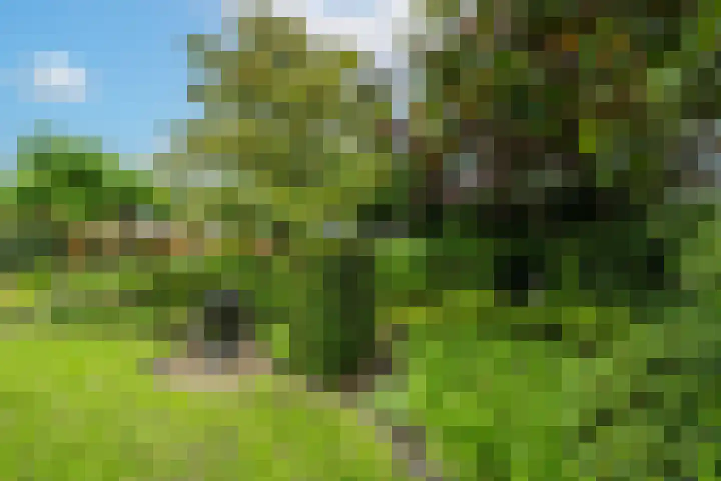 Batouwse Singel 85 Lienden thumbnail 28