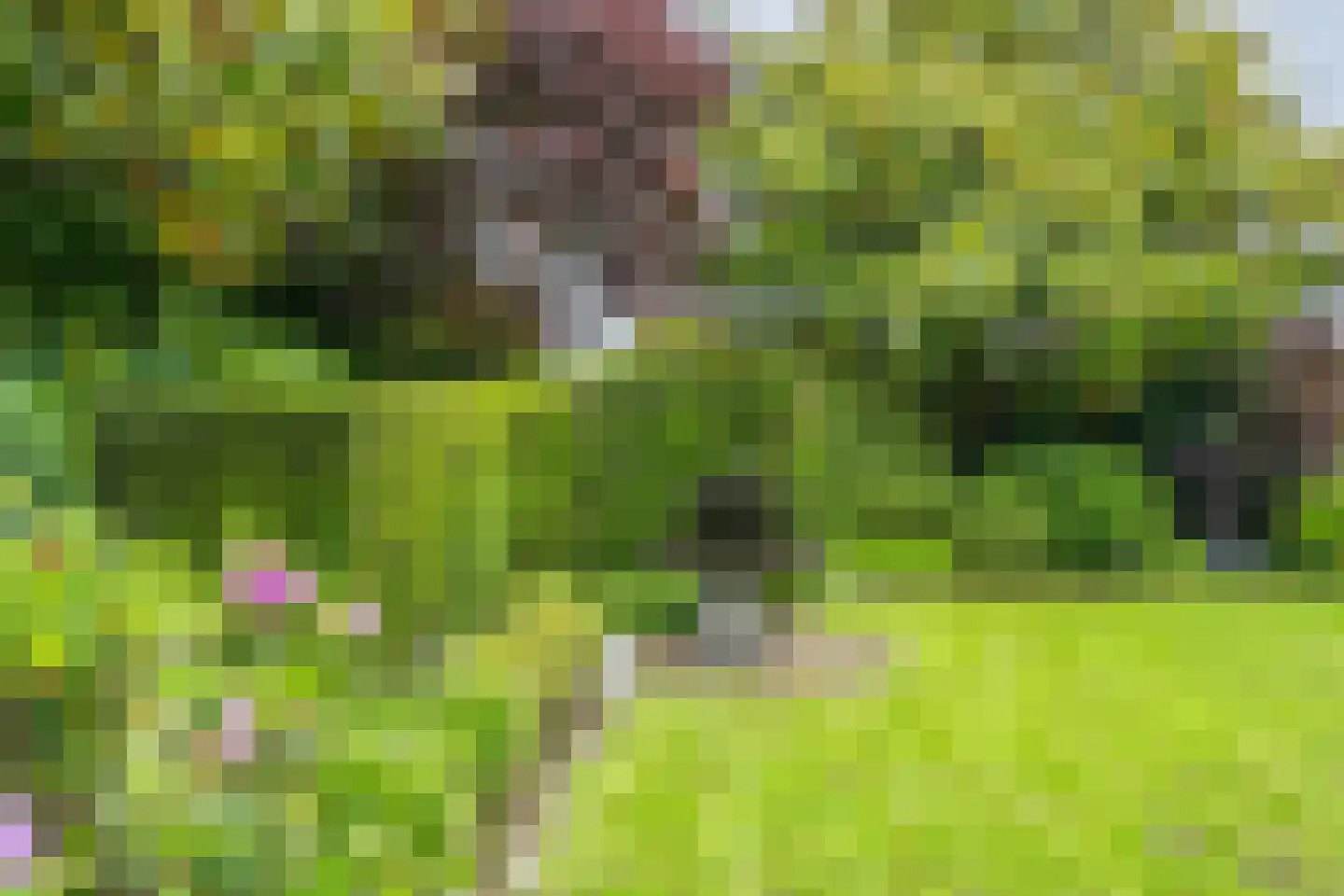 Batouwse Singel 85 Lienden thumbnail 30