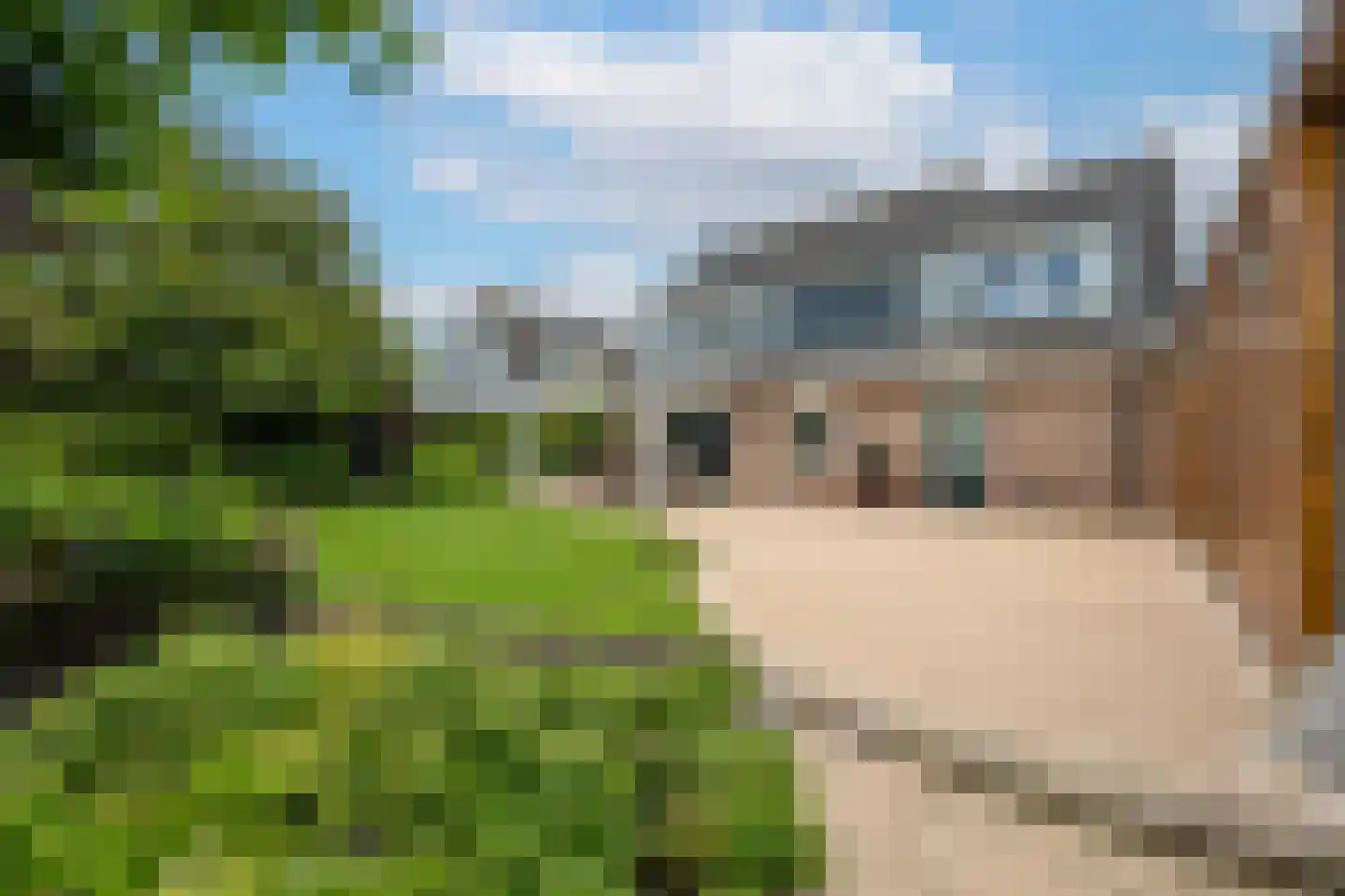 Batouwse Singel 85 Lienden thumbnail 31