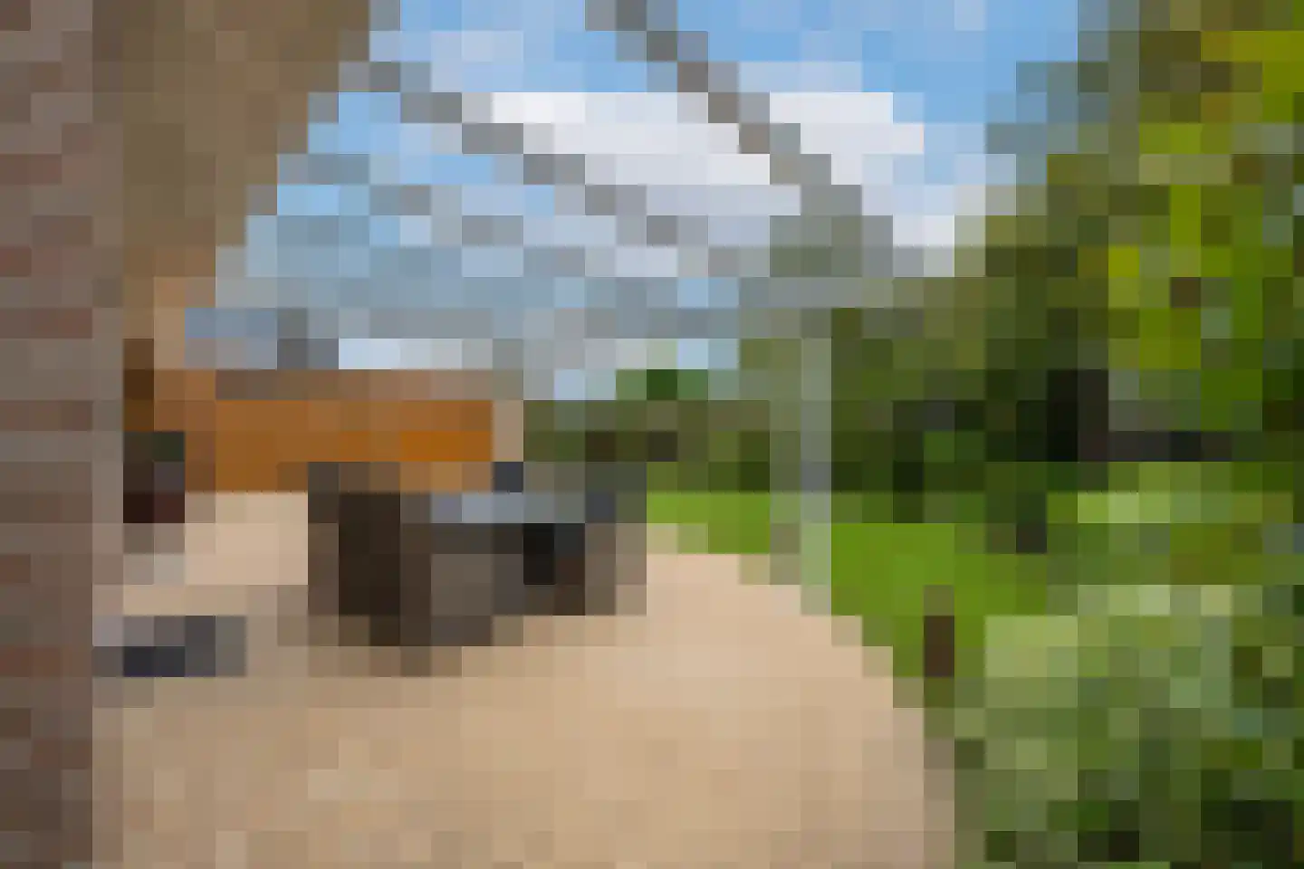 Batouwse Singel 85 Lienden thumbnail 33