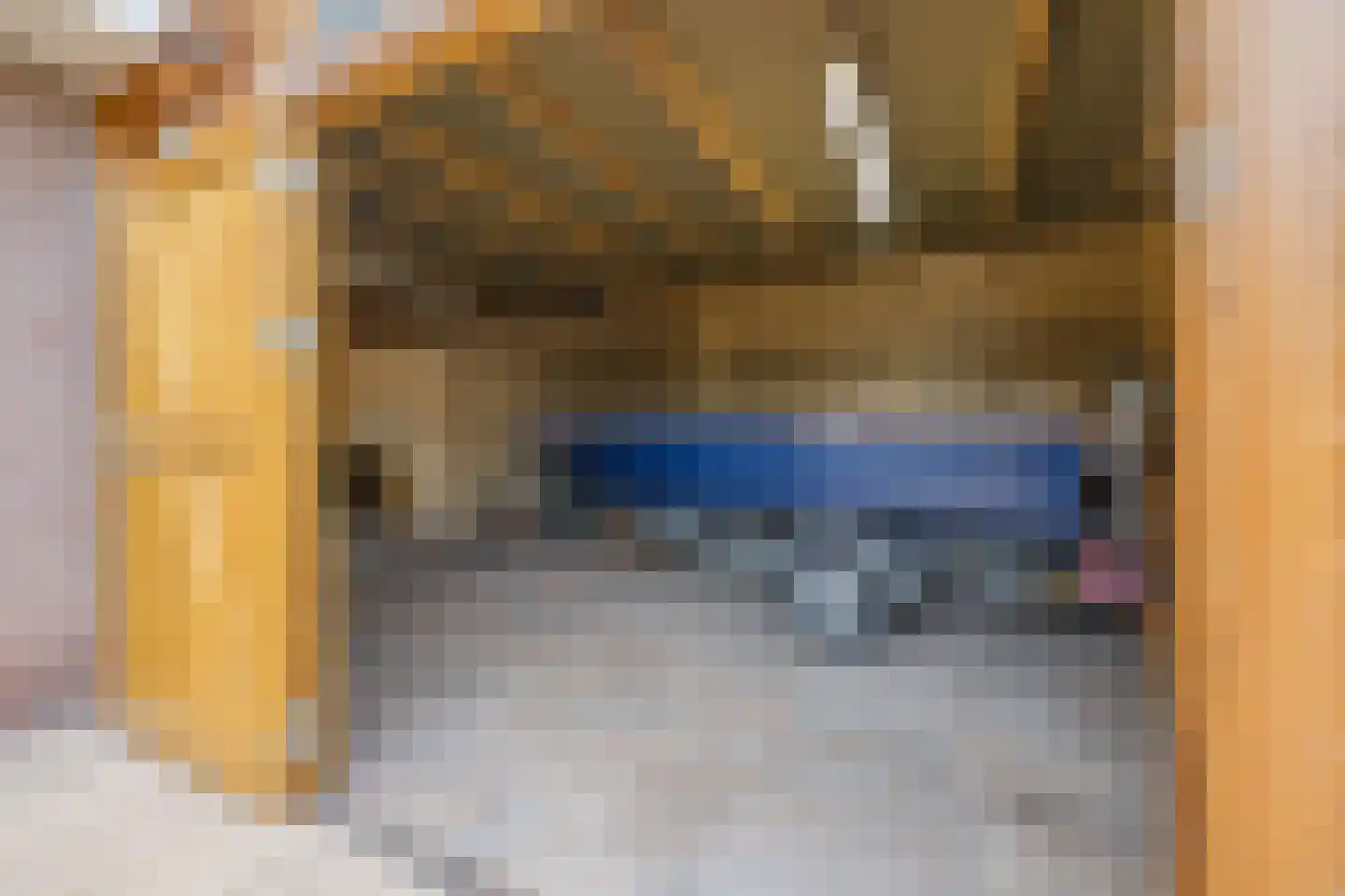 Batouwse Singel 85 Lienden thumbnail 36