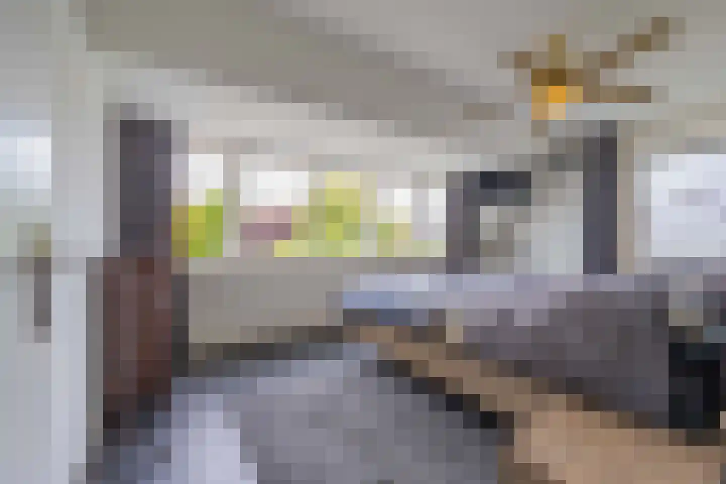 Batouwse Singel 85 Lienden thumbnail 52