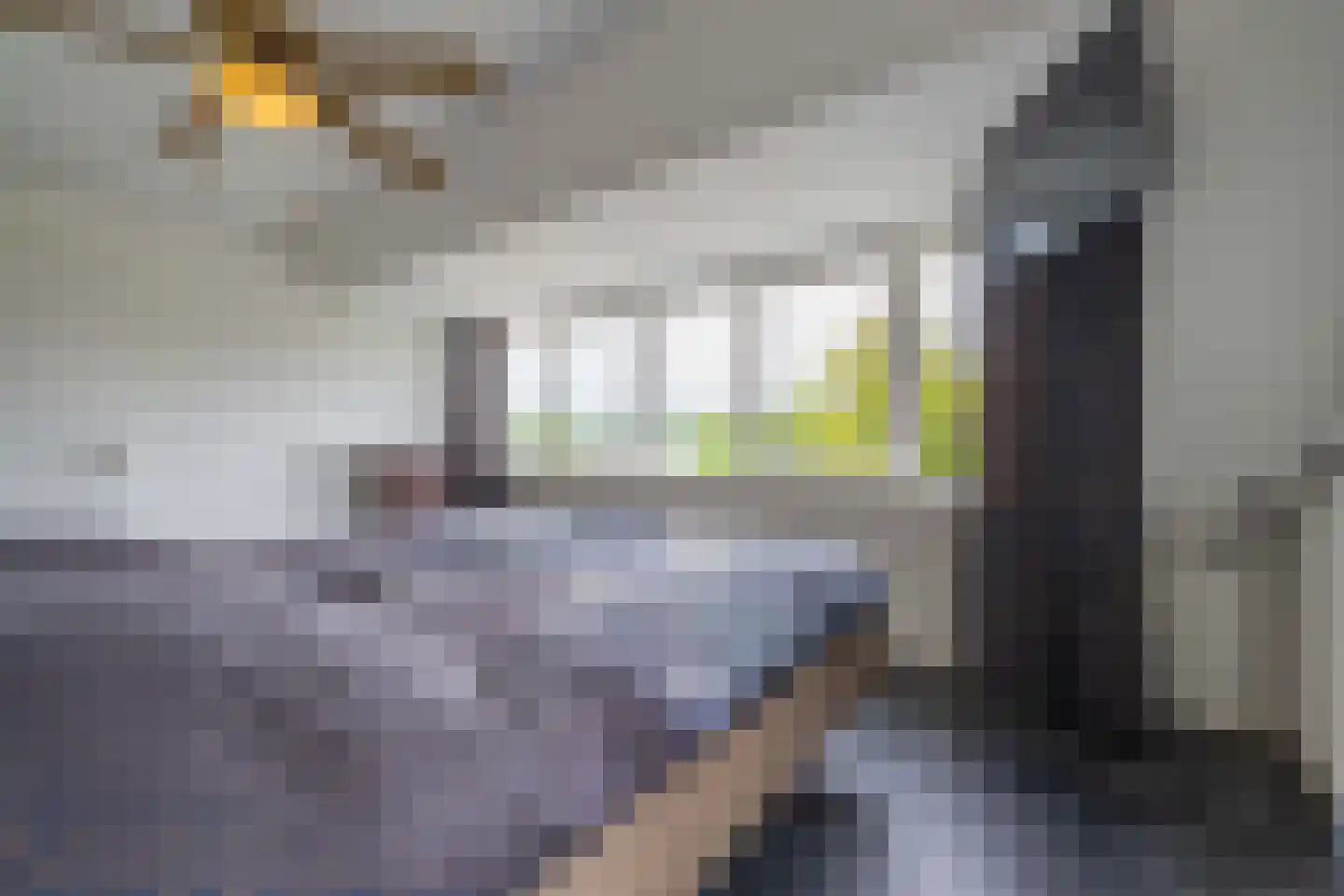 Batouwse Singel 85 Lienden thumbnail 53