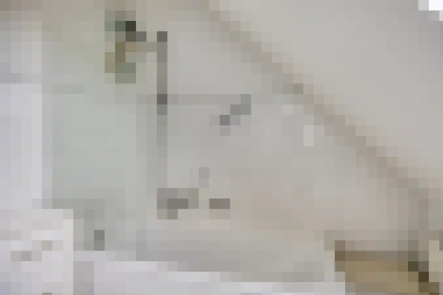 Batouwse Singel 97 Lienden thumbnail 24