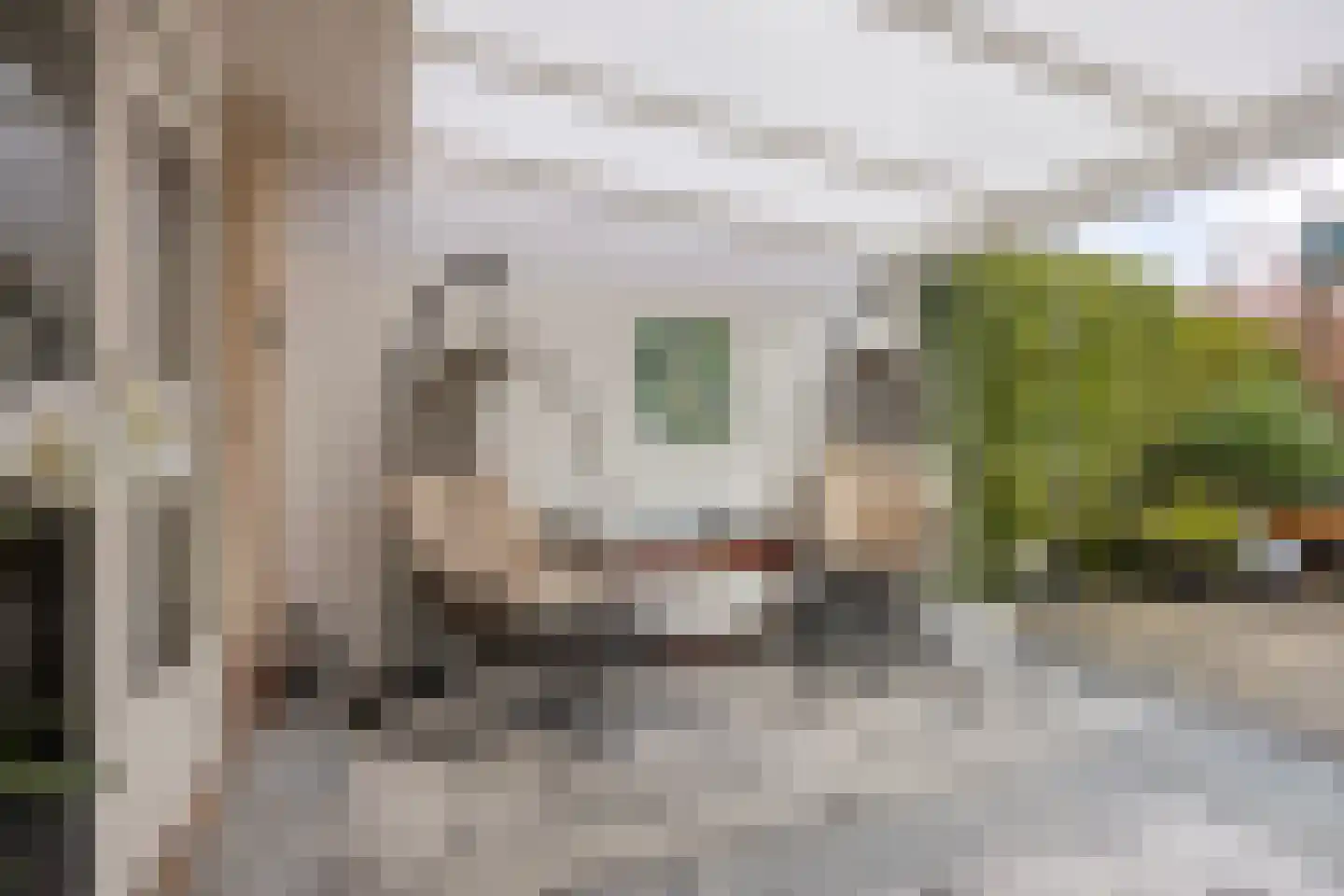 Batouwse Singel 97 Lienden thumbnail 28