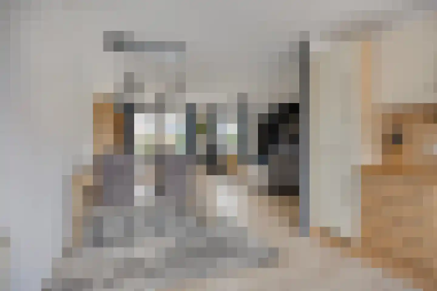Batouwse Singel 97 Lienden thumbnail 7