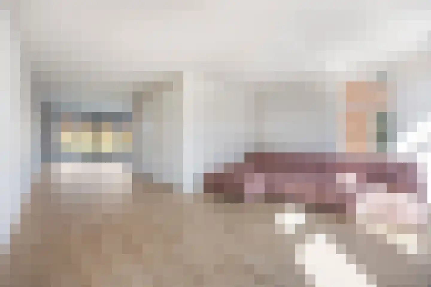 Bats 3 't Zand thumbnail 8