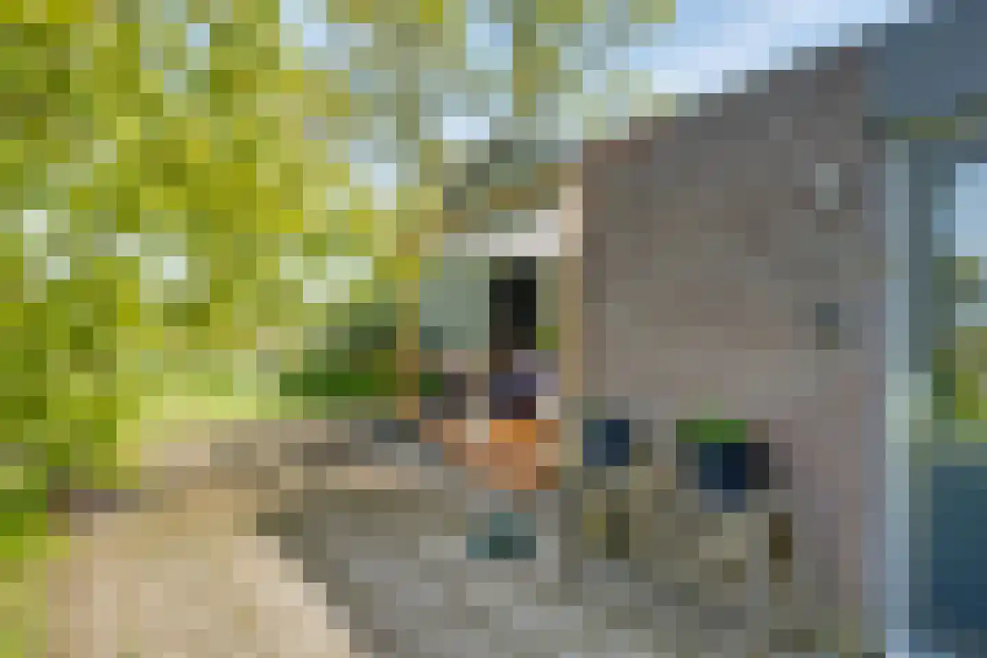 Batsdijk 18 a Ruurlo thumbnail 37