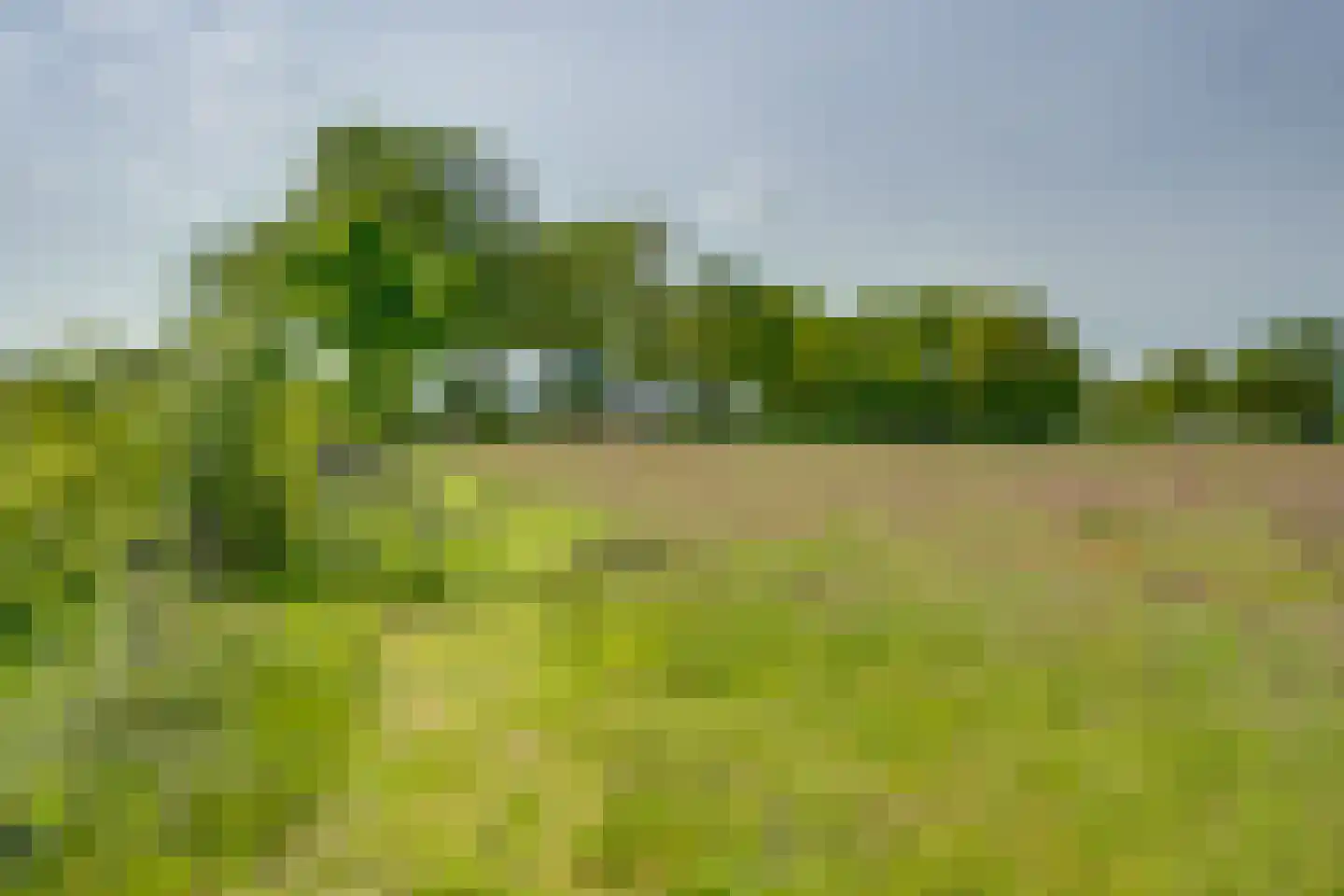 Batsdijk 18 a Ruurlo thumbnail 38