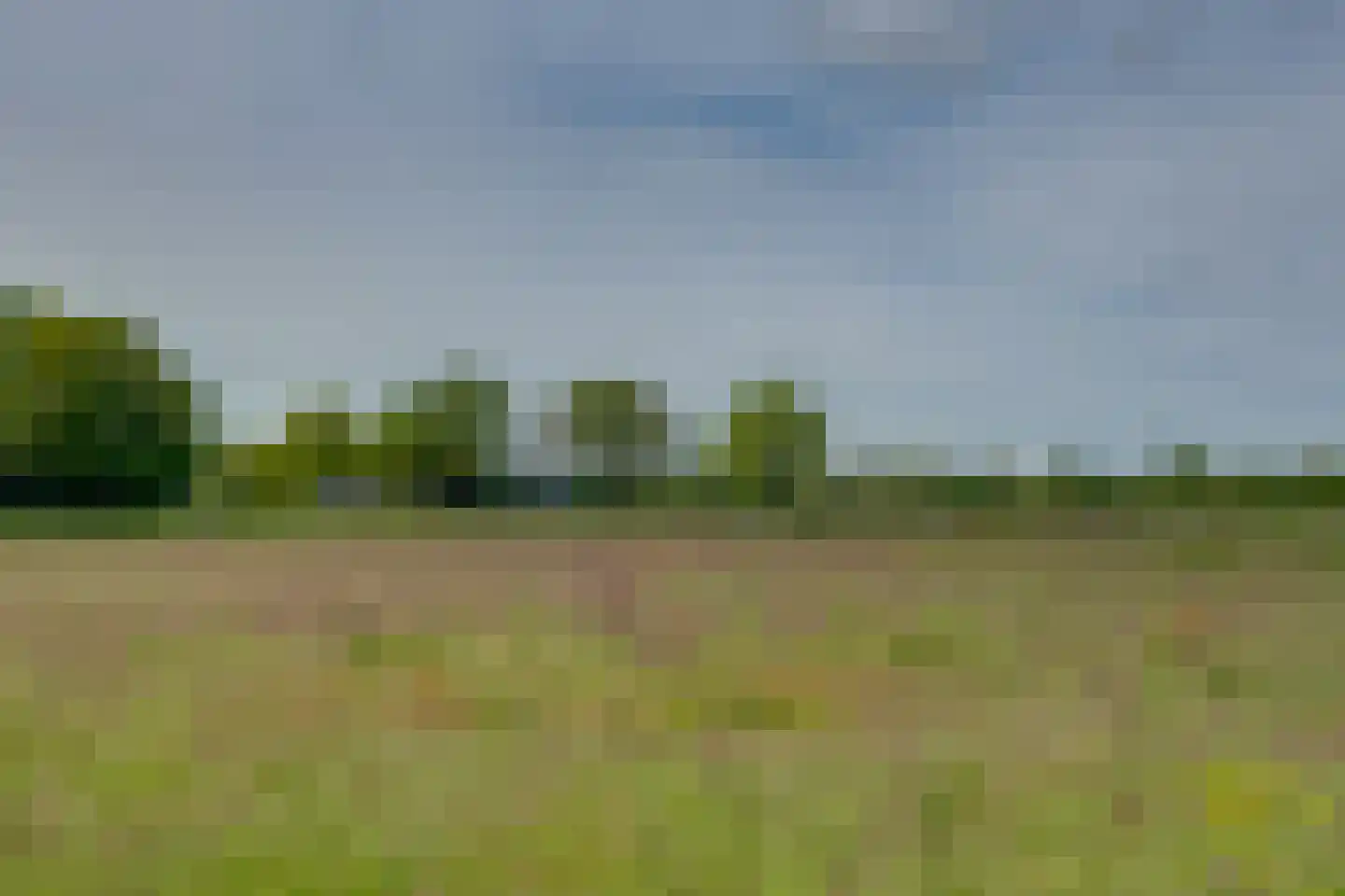 Batsdijk 18 a Ruurlo thumbnail 39