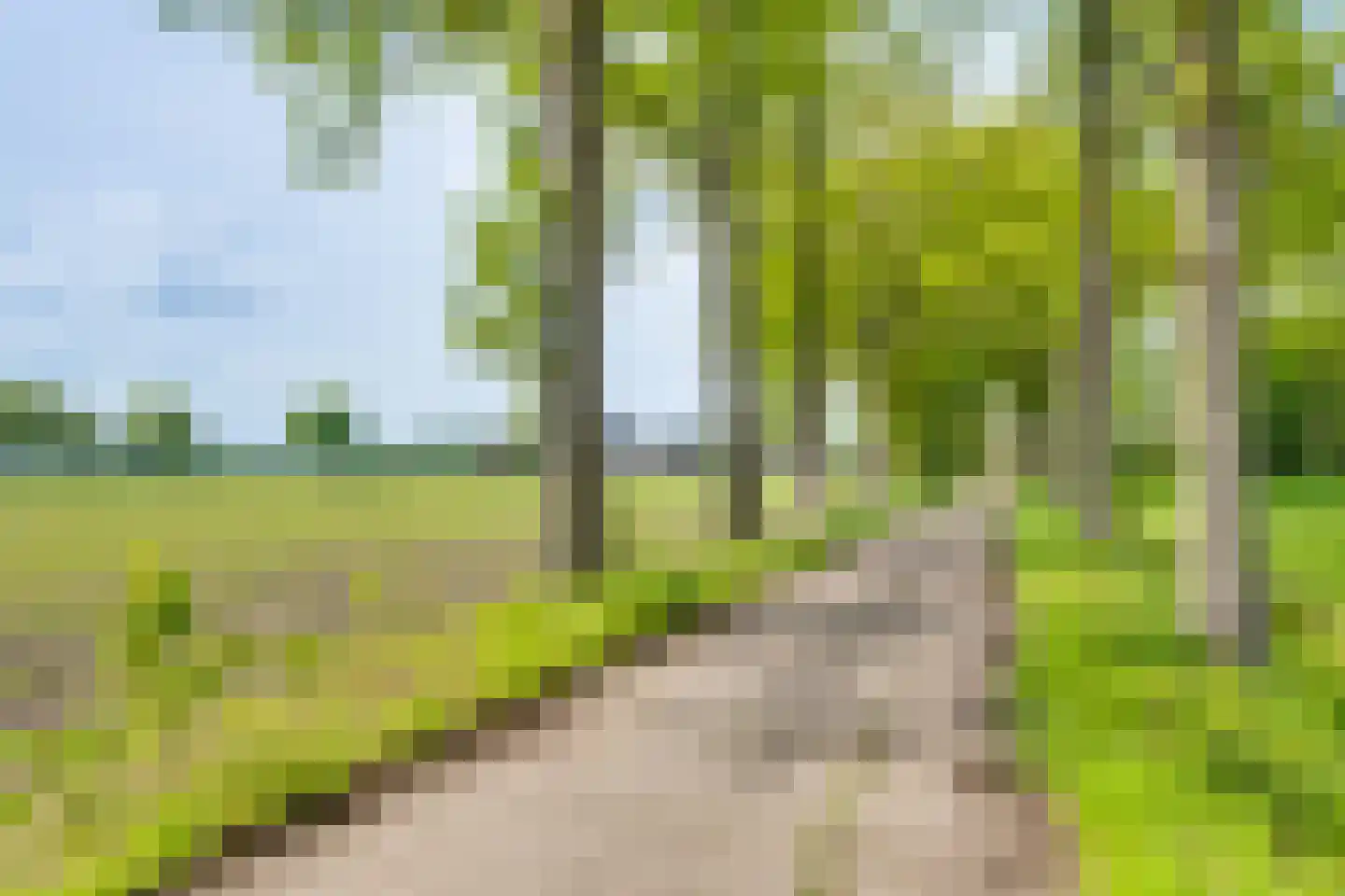Batsdijk 18 a Ruurlo thumbnail 43
