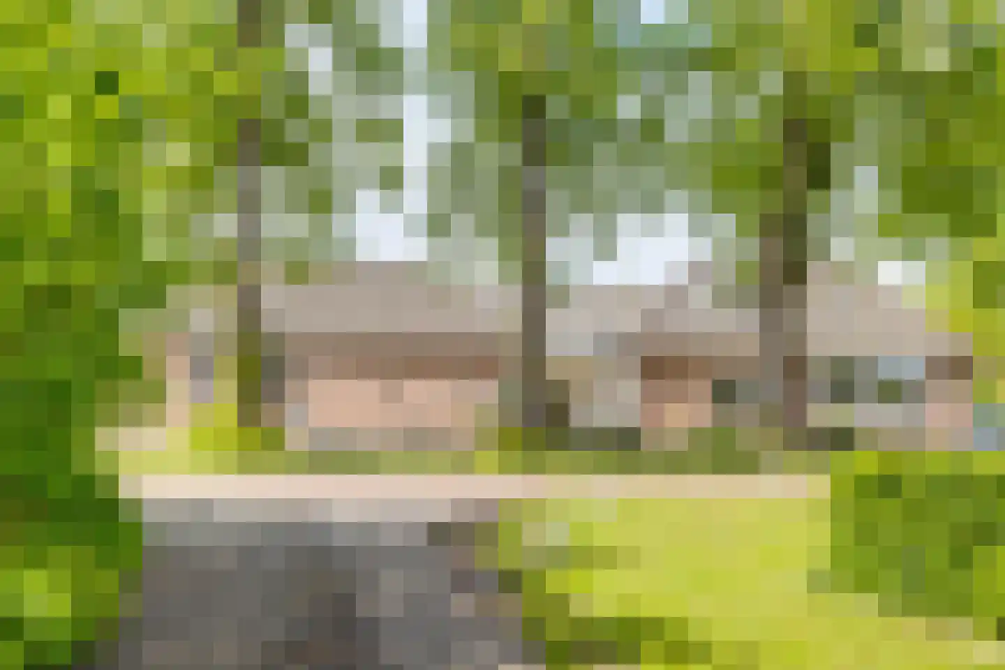 Batsdijk 18 a Ruurlo thumbnail 45