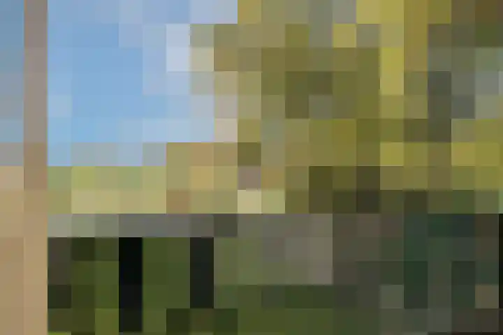 Batsdijk 22 Ruurlo thumbnail 30