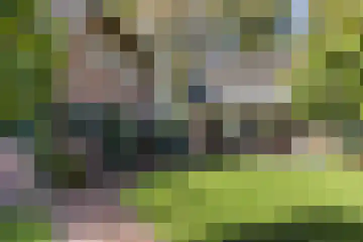 Batsdijk 22 Ruurlo thumbnail 39