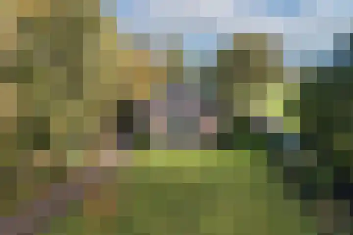 Batsdijk 22 Ruurlo thumbnail 4